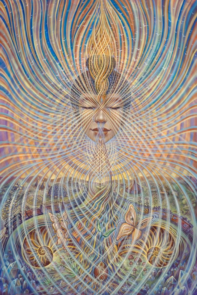 Regeneration by Amanda Sage