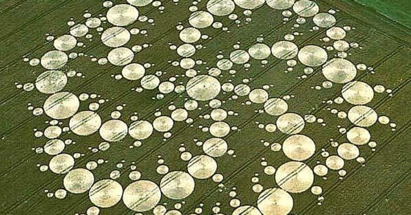 2012 NEW CROP CIRCLE SHOWS A DNA CHANGE IN THE CROP CIRCLES ~ abzu2