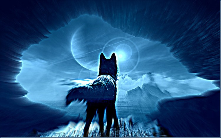 Planetary Dog Moon of Manifestation, the tenth moon of the Planetary ...