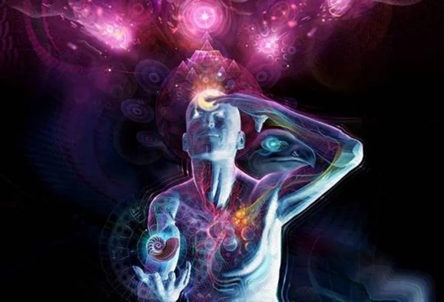 pineal-gland-contact